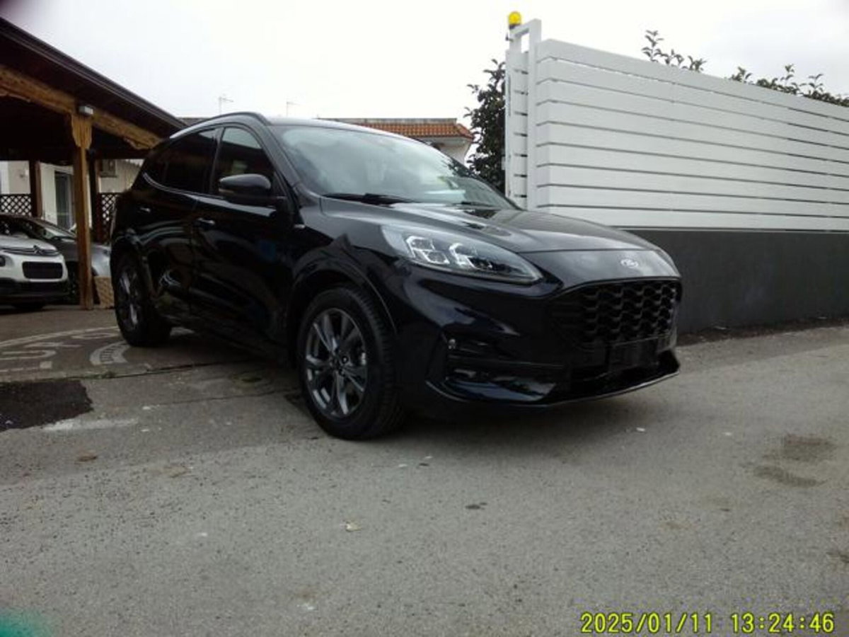 Ford Kuga 1.5 EcoBlue 120 CV 2WD ST-Line (5)