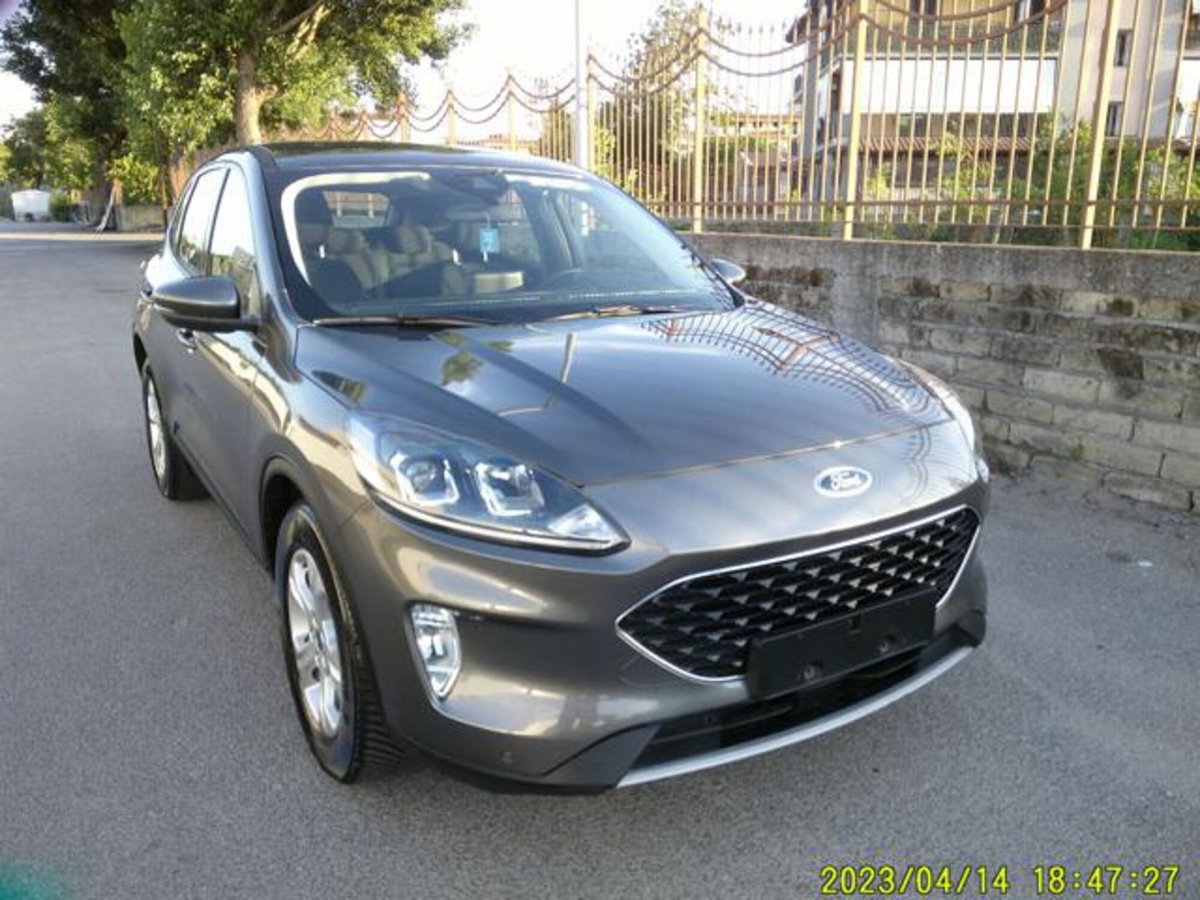 Ford Kuga 1.5 EcoBlue 120 CV 2WD Titanium