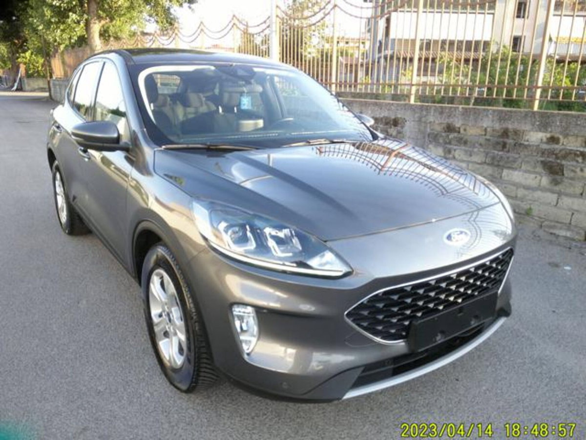 Ford Kuga 1.5 EcoBlue 120 CV 2WD Titanium (11)