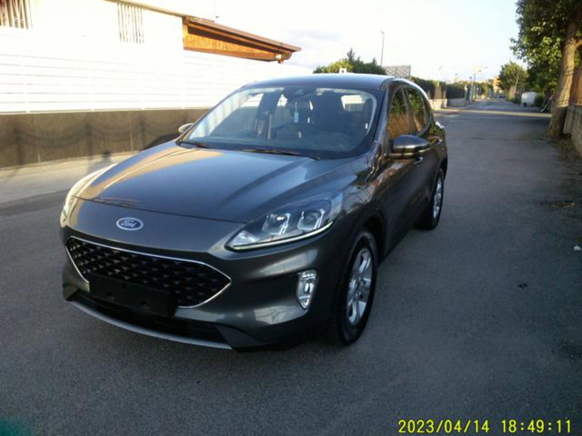 Ford Kuga 1.5 EcoBlue 120 CV 2WD Titanium (13)