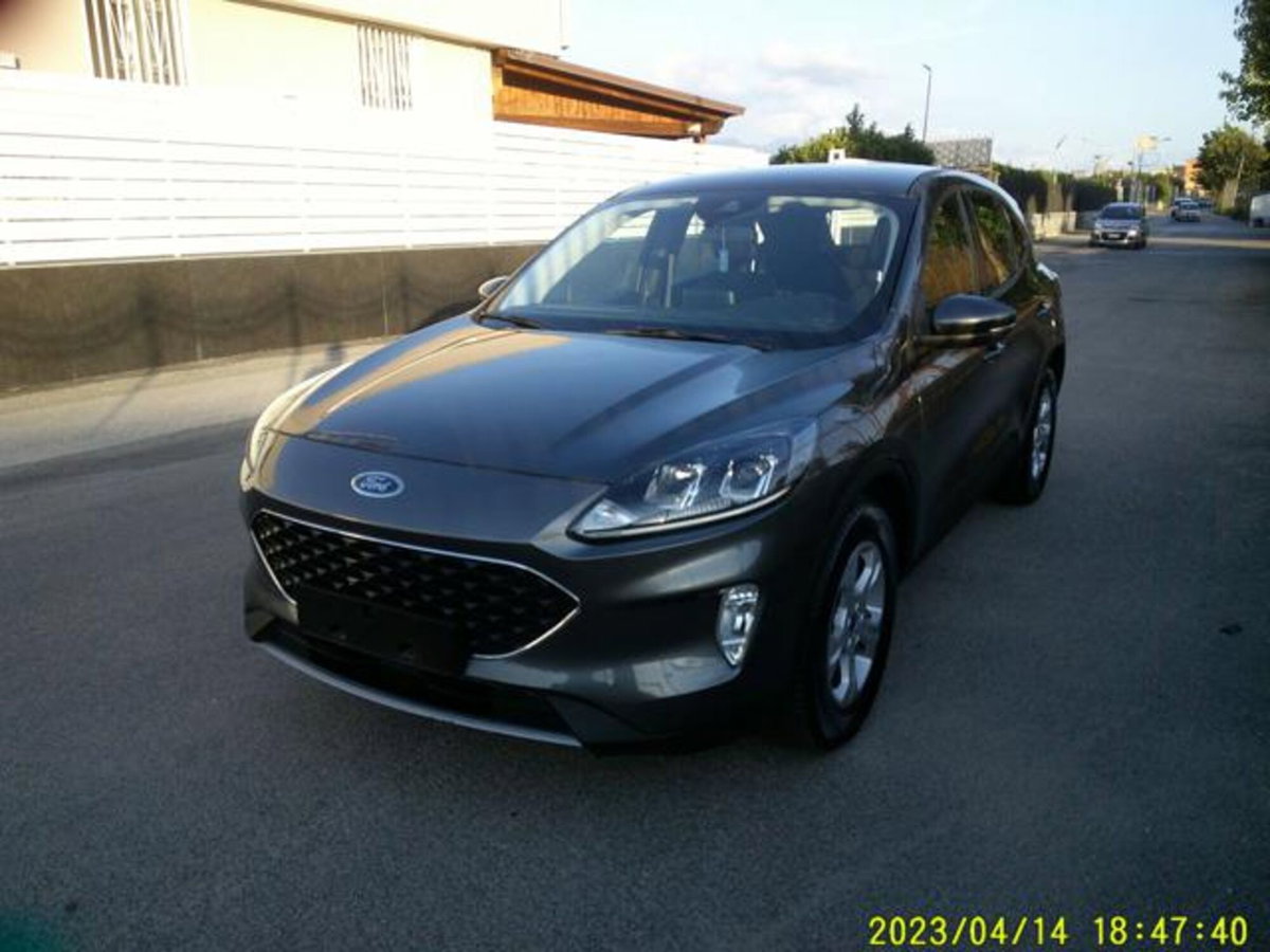 Ford Kuga 1.5 EcoBlue 120 CV 2WD Titanium (3)
