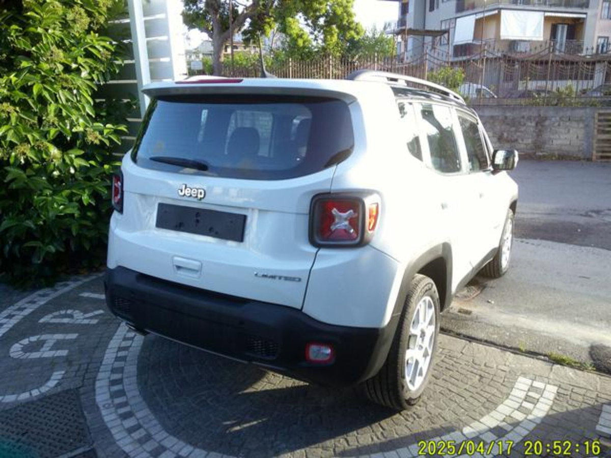 Jeep Renegade 1.6 Mjt 130 CV Limited (10)