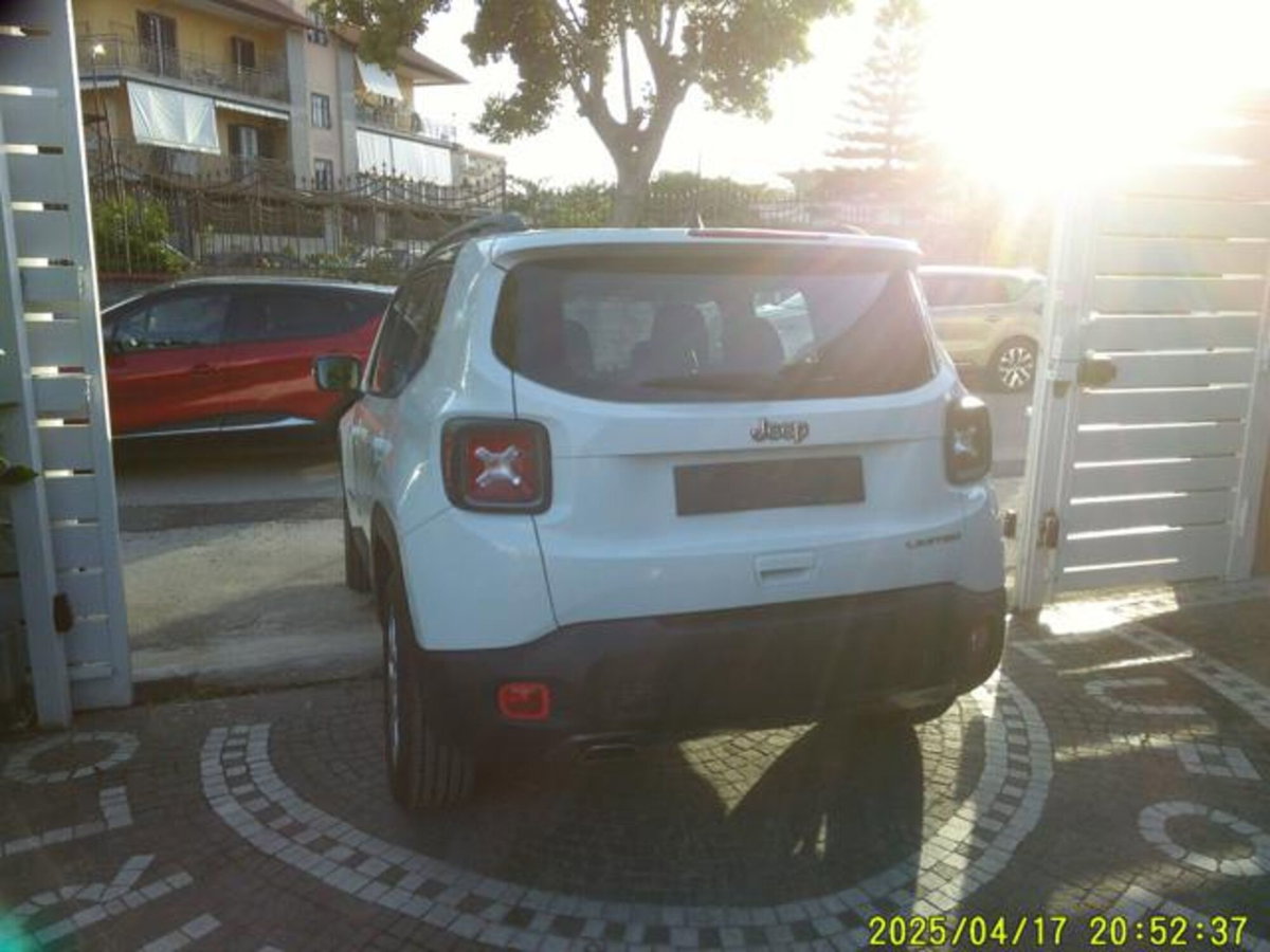 Jeep Renegade 1.6 Mjt 130 CV Limited (12)