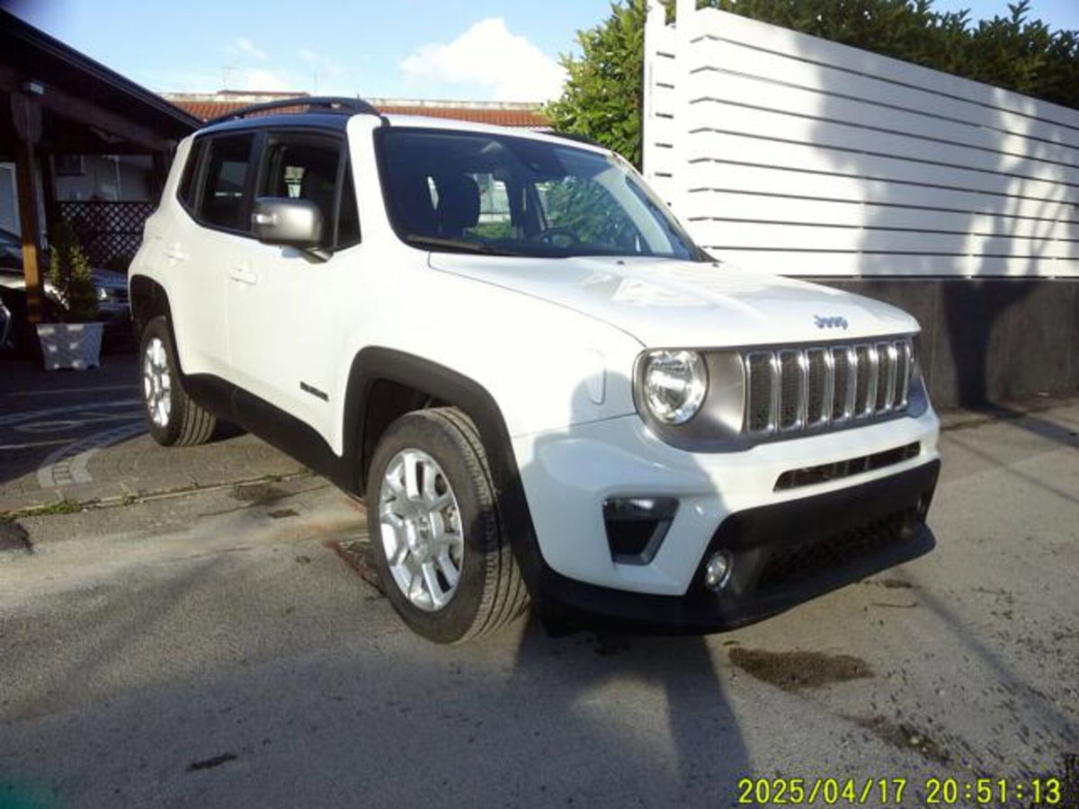 Jeep Renegade 1.6 Mjt 130 CV Limited (3)