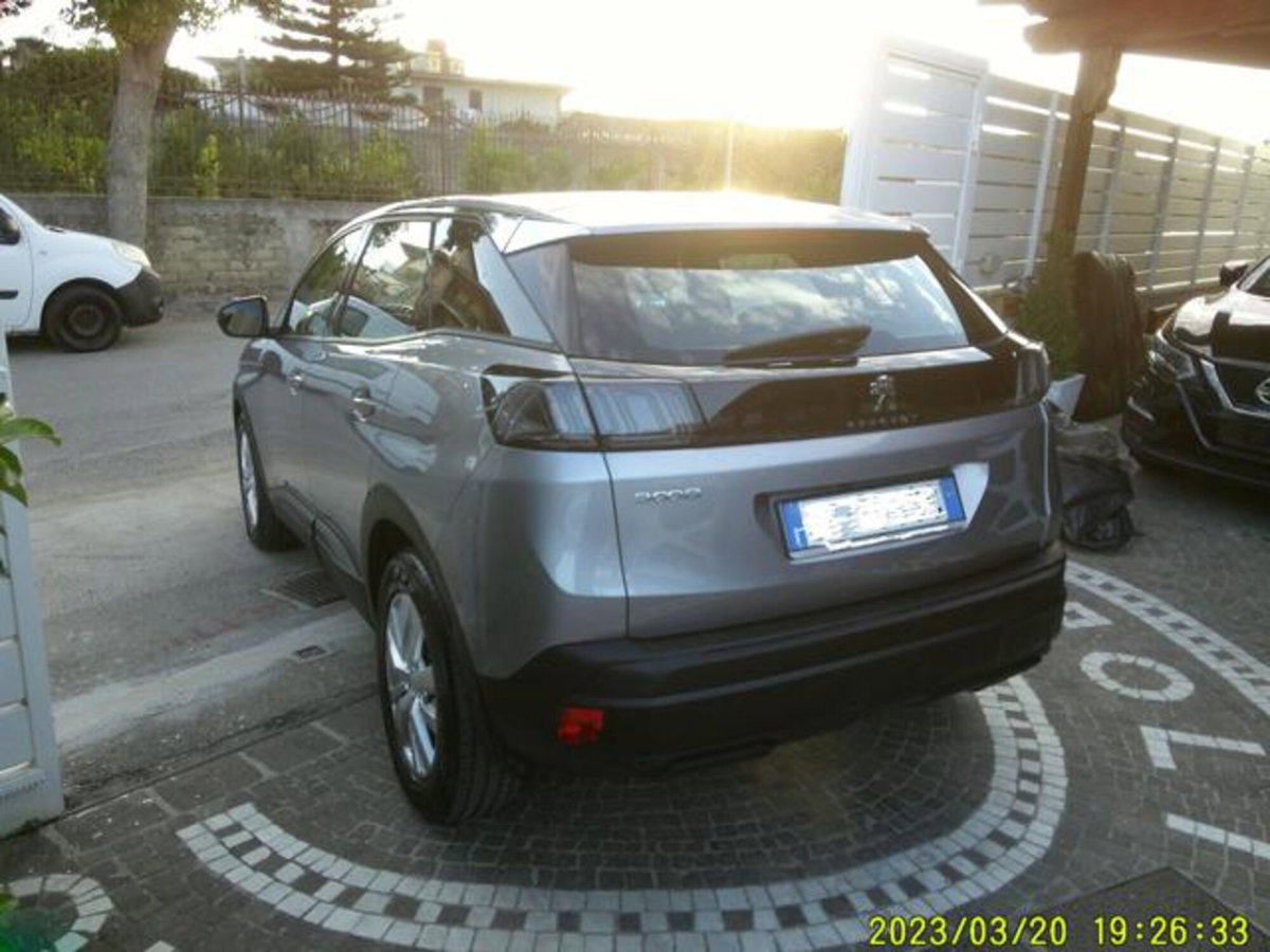 Peugeot 3008 BlueHDi 130 S&S Business (6)