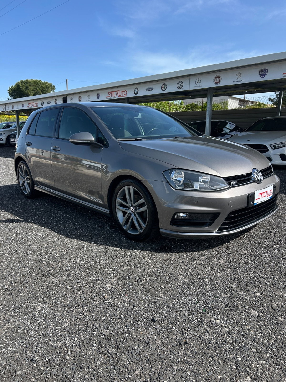 Volkswagen Golf 1.6 TDI 110 CV 5p. Business BlueMotion Technology (3)