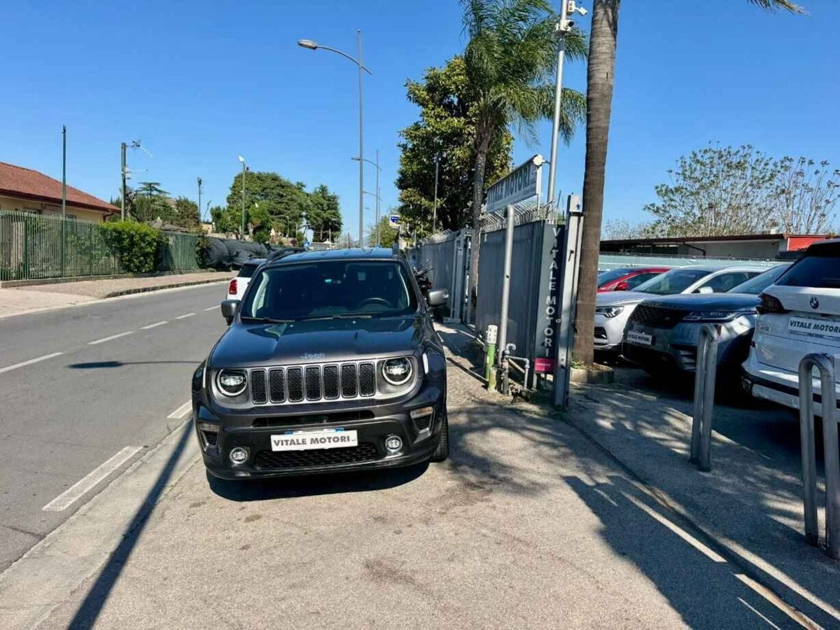 Jeep Renegade 1.3 T4 DDCT Limited (2)