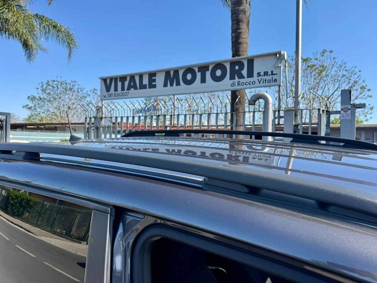 Jeep Renegade 1.3 T4 DDCT Limited (20)