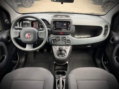 Fiat Panda 1.0 firefly hybrid s&s 70cv 5p.ti (15)