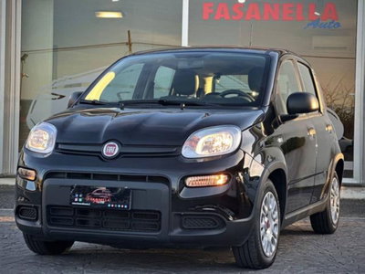 Fiat Panda 1.0 firefly hybrid s&s 70cv 5p.ti (6)