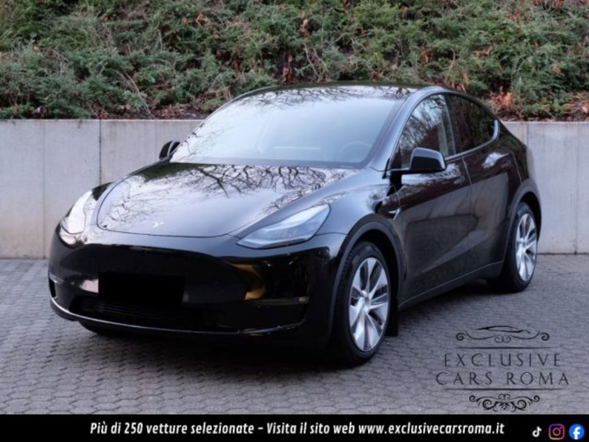 Tesla Model Y Long Range awd