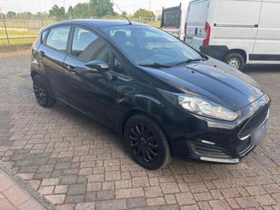Ford Fiesta 1.2 82 CV 5 porte Titanium (3)