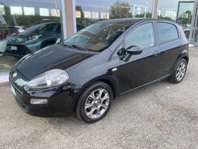 Fiat Punto 1.2 8V 5 porte Street (2)