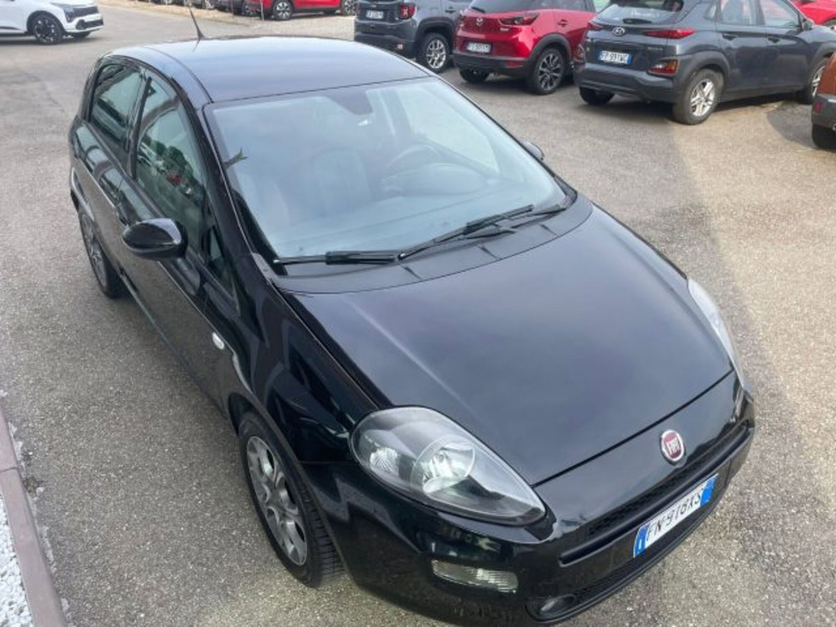 Fiat Punto 1.2 8V 5 porte Street (5)