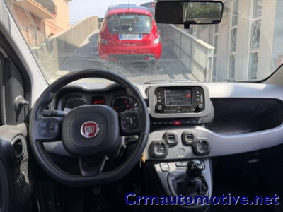 Fiat Panda 1.0 firefly hybrid s&s 70cv 5p.ti (7)