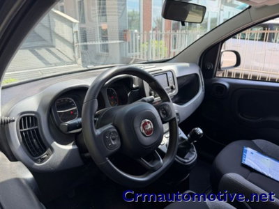 Fiat Panda 1.0 firefly hybrid s&s 70cv 5p.ti (8)