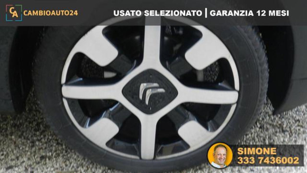 Citroen C4 Cactus PureTech 110 S&S Shine (17)