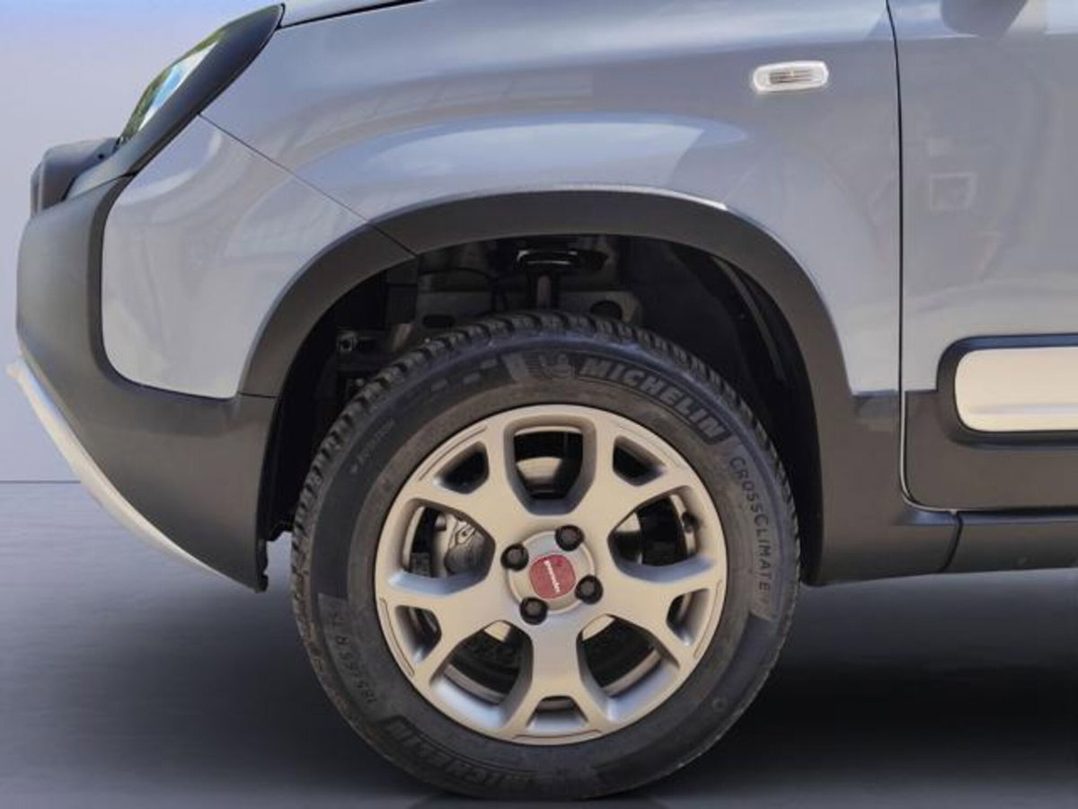 Fiat Panda Cross Cross 0.9 TwinAir Turbo S&S 4x4 (19)