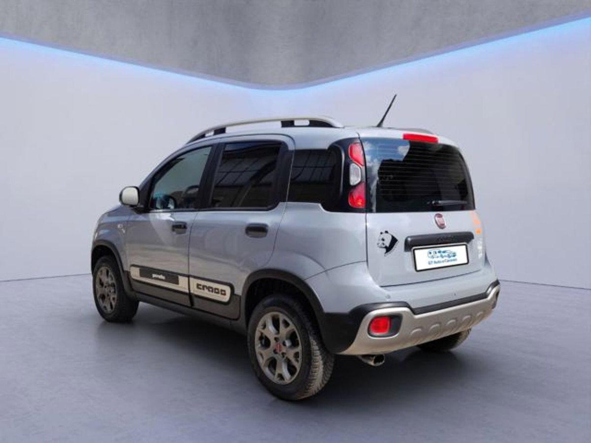 Fiat Panda Cross Cross 0.9 TwinAir Turbo S&S 4x4 (4)