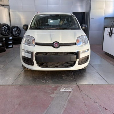 Fiat Pandina 1.0 firefly hybrid Pop s&s 65cv (2)