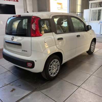 Fiat Pandina 1.0 firefly hybrid Pop s&s 65cv (4)