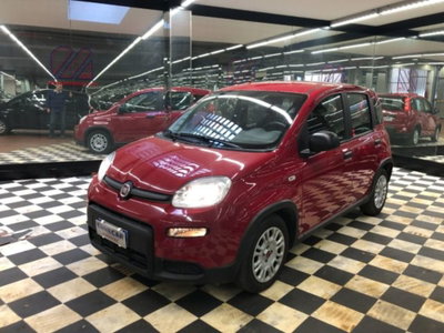 Fiat Panda 1.0 firefly hybrid s&s 70cv 5p.ti usata