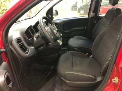Fiat Panda 1.0 firefly hybrid s&s 70cv 5p.ti (10)