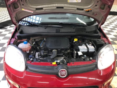 Fiat Panda 1.0 firefly hybrid s&s 70cv 5p.ti (16)