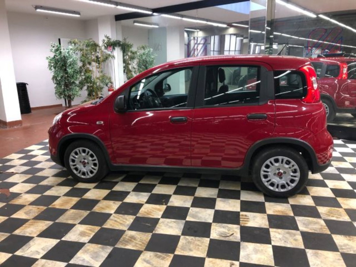 Fiat Panda 1.0 firefly hybrid s&s 70cv 5p.ti (7)