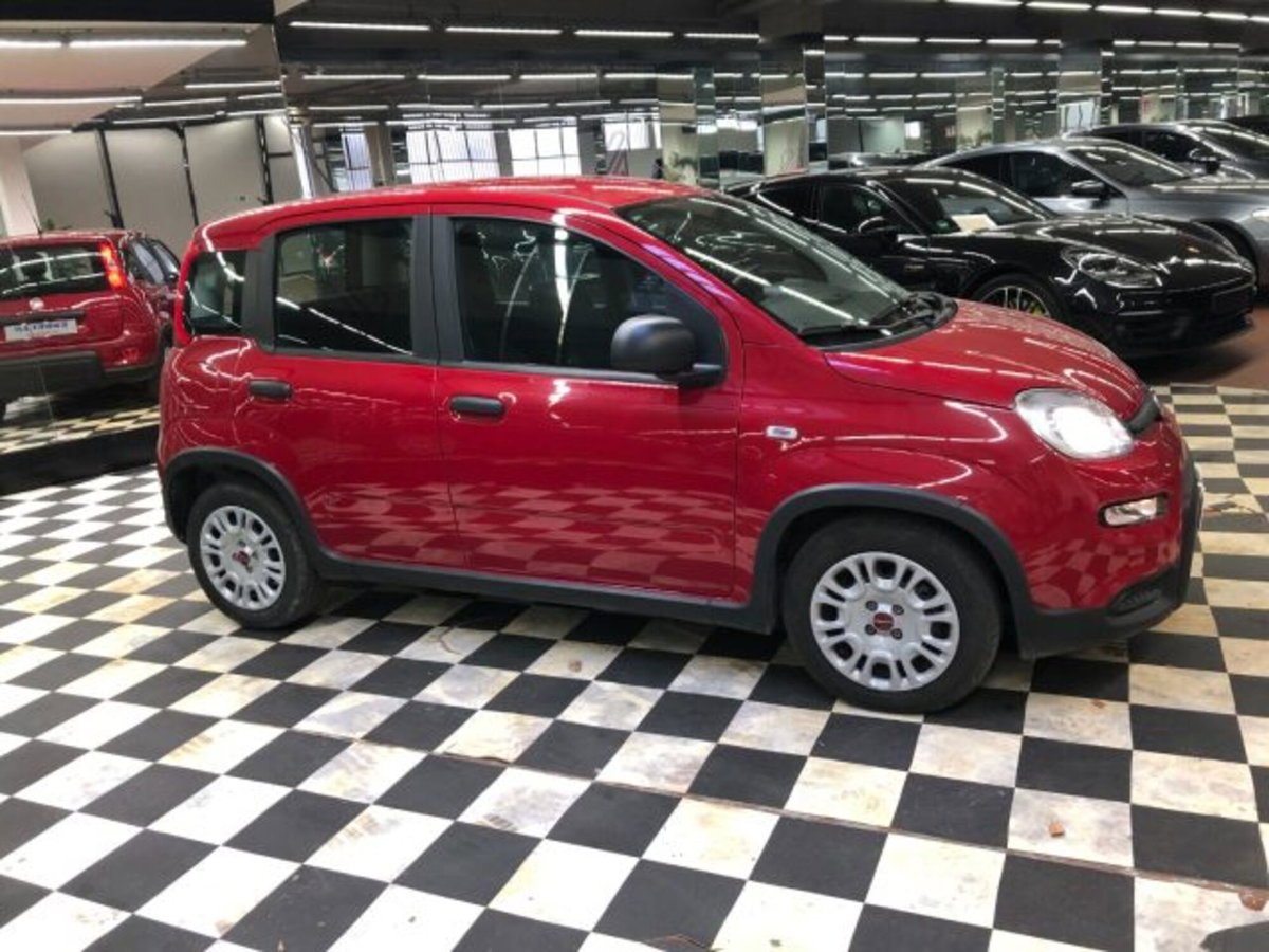 Fiat Panda 1.0 firefly hybrid s&s 70cv 5p.ti (8)
