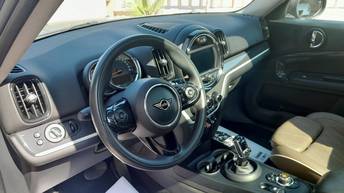 MINI Mini Countryman 2.0 Cooper S Hype Countryman ALL4 Automatica (8)