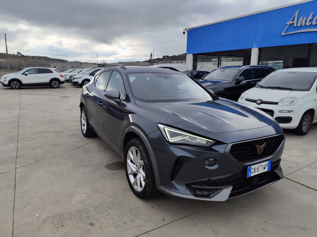 Cupra Formentor Formentor 2.0 tdi 4drive 150cv dsg (11)