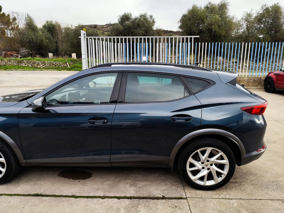 Cupra Formentor Formentor 2.0 tdi 4drive 150cv dsg (3)