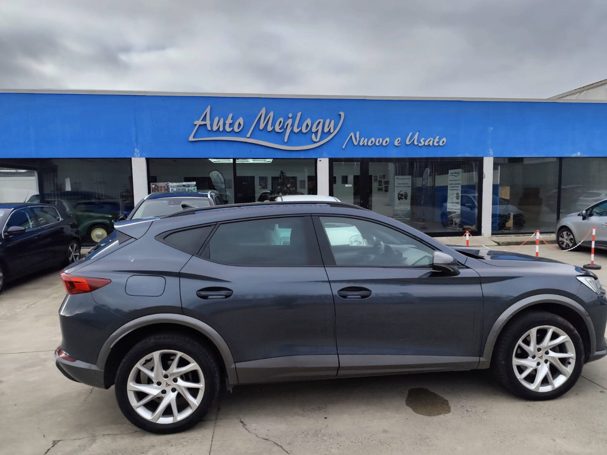 Cupra Formentor Formentor 2.0 tdi 4drive 150cv dsg (7)