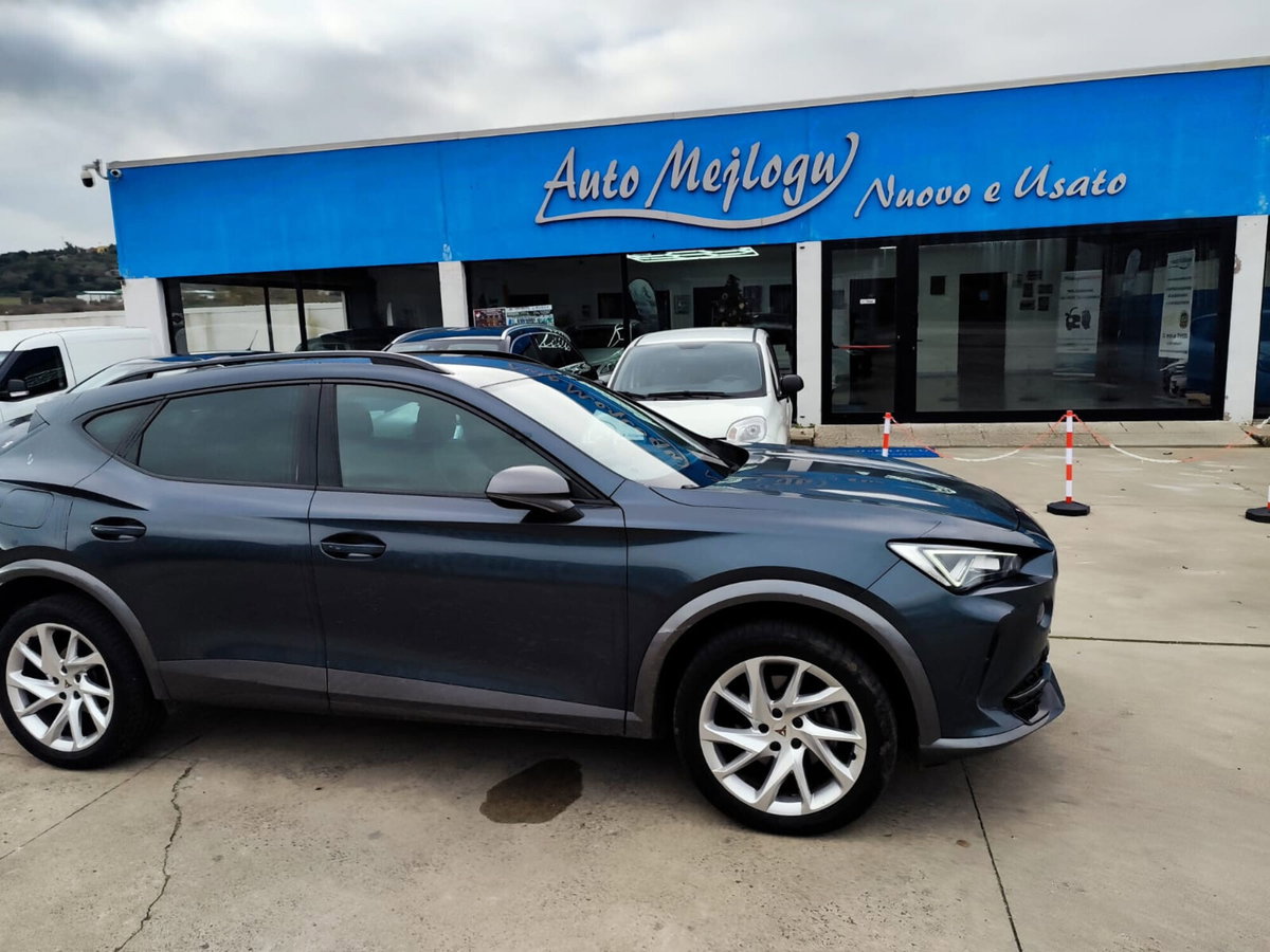 Cupra Formentor Formentor 2.0 tdi 4drive 150cv dsg (8)