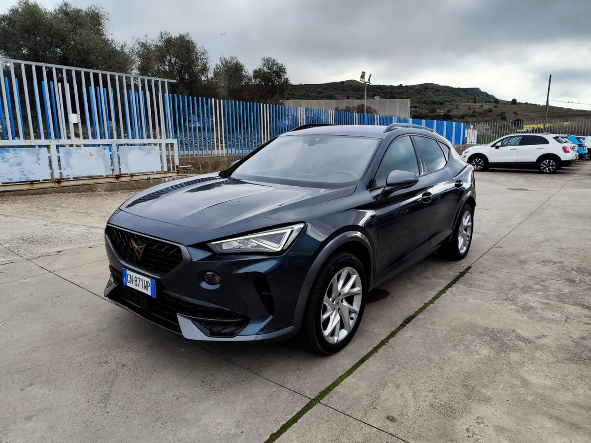 Cupra Formentor Formentor 2.0 tdi 4drive 150cv dsg (9)