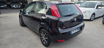 Fiat Punto 1.3 MJT II S&S 95 CV 5 porte Street (10)