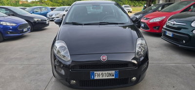 Fiat Punto 1.3 MJT II S&S 95 CV 5 porte Street (5)