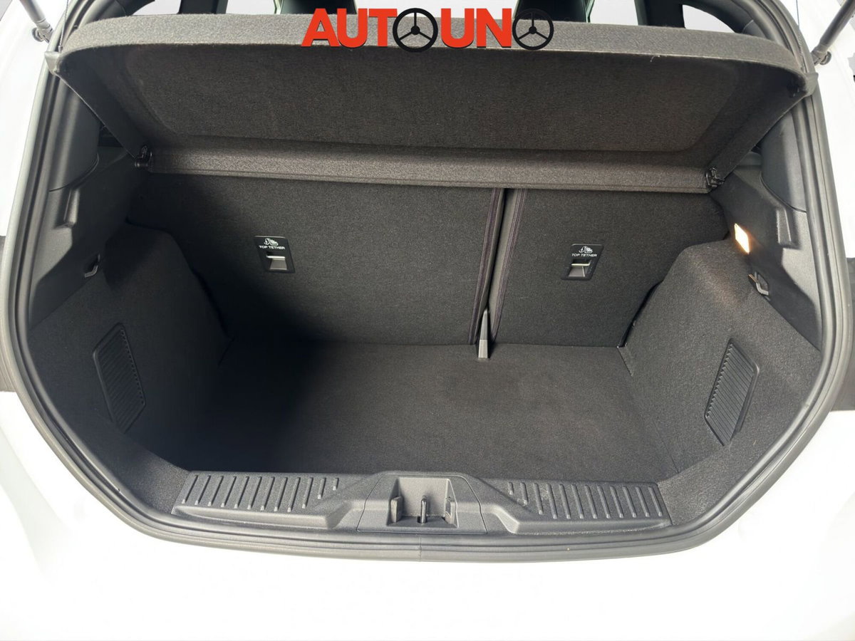 Ford Fiesta 1.5 Ecoboost 200 CV 3 porte ST (12)