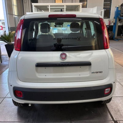 Fiat Pandina 1.0 firefly hybrid Pop s&s 65cv (3)