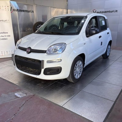 Fiat Pandina 1.0 firefly hybrid Pop s&s 65cv (6)