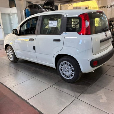 Fiat Pandina 1.0 firefly hybrid Pop s&s 65cv (8)
