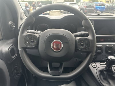 Fiat Panda Cross Cross 1.0 FireFly S&S Hybrid (12)
