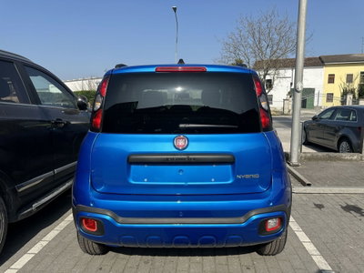 Fiat Panda Cross Cross 1.0 FireFly S&S Hybrid (4)