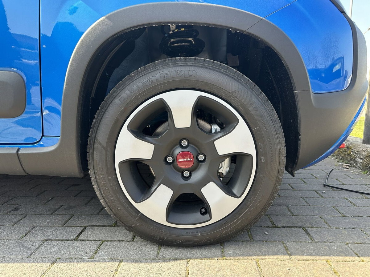 Fiat Panda Cross Cross 1.0 FireFly S&S Hybrid (6)