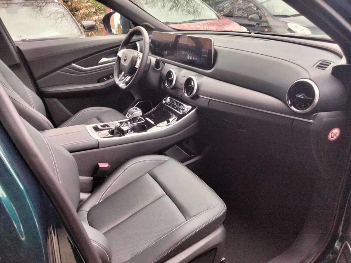 Evo Evo 6 II 1.5 turbo Gpl S1 167cv dct (10)