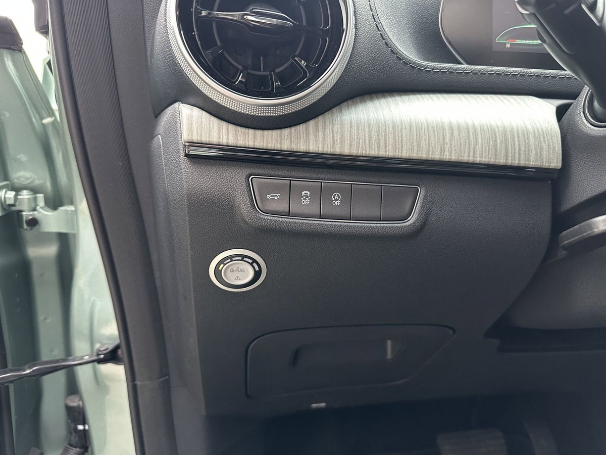 Evo Evo Spazio 1.5 turbo Gpl 167cv dct (18)