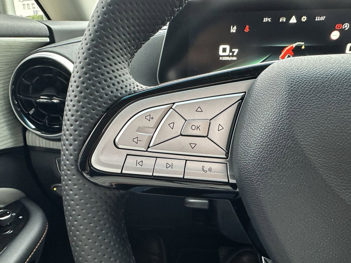 Evo Evo Spazio 1.5 turbo Gpl 167cv dct (19)