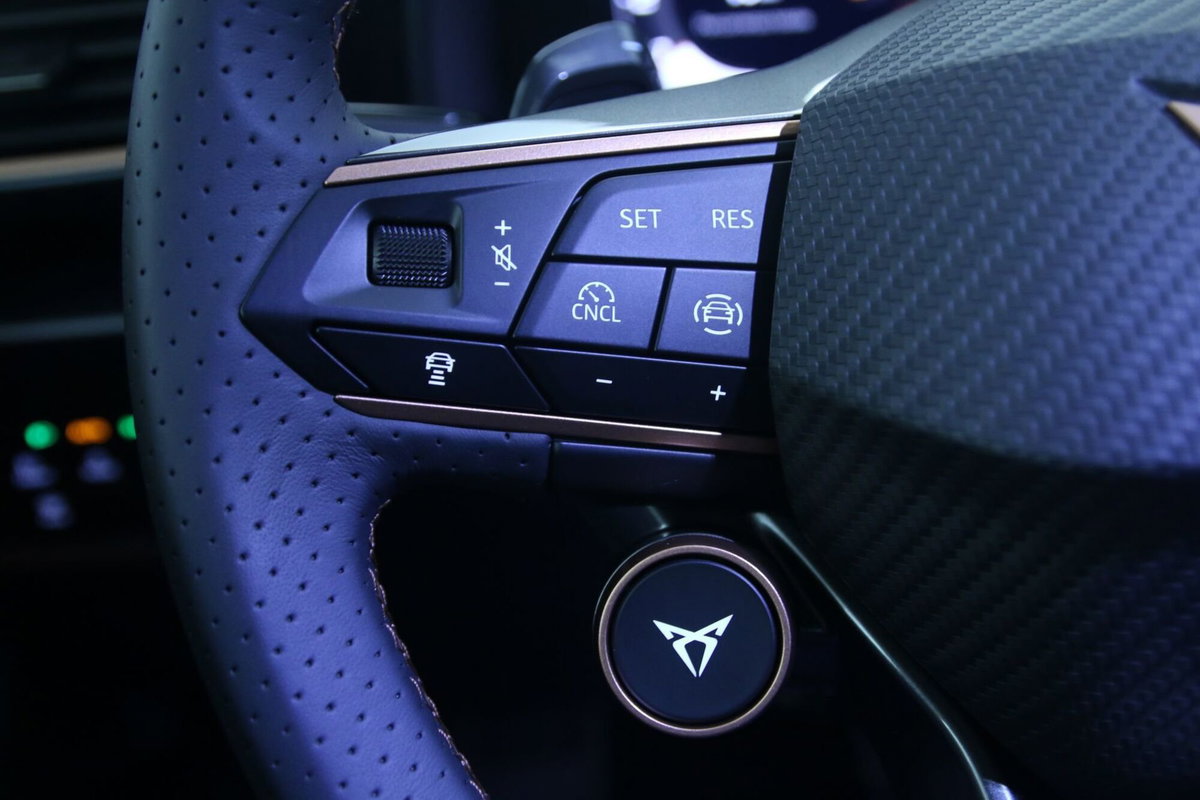 Cupra Formentor Formentor 1.5 TSI (18)