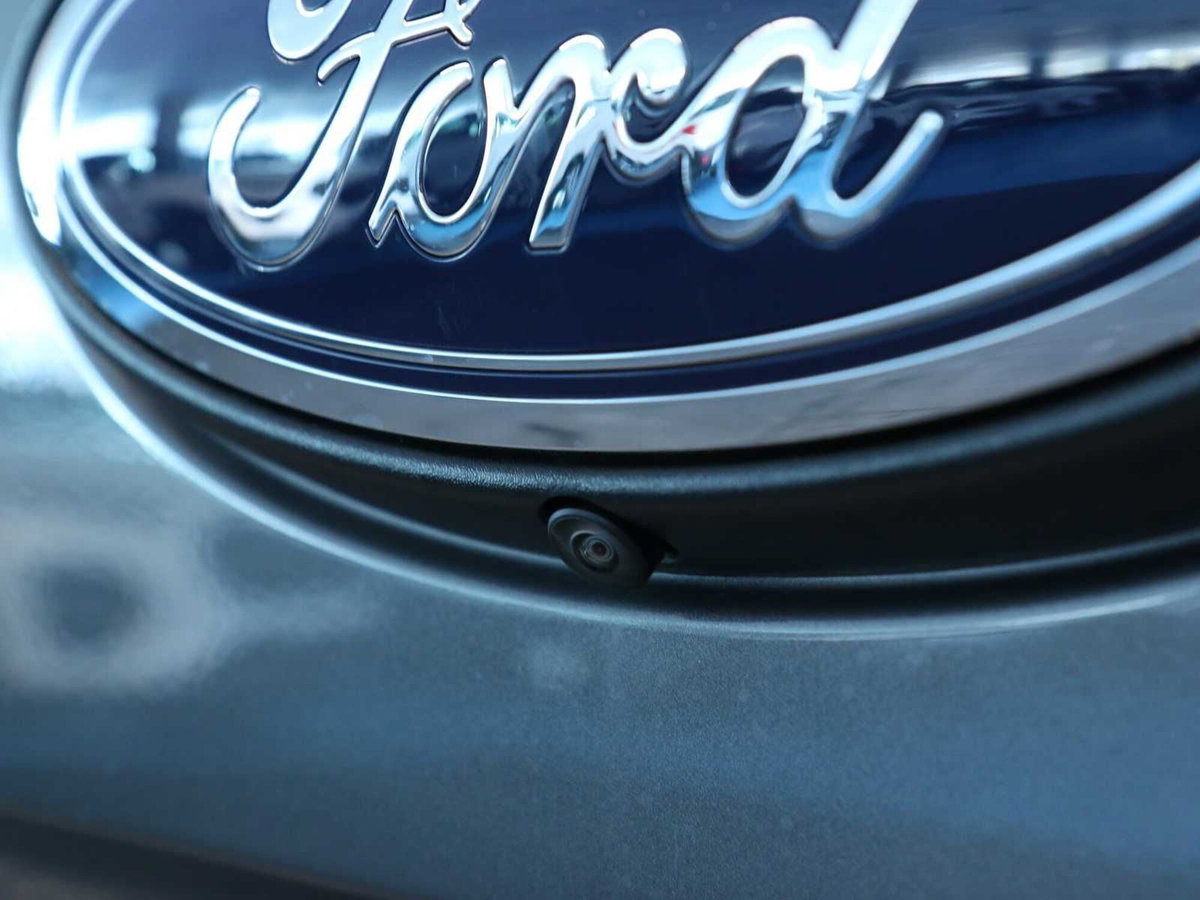Ford Ranger Pick-up 2.0 ecoblue doppia cabina Wildtrak awd 205cv auto (14)